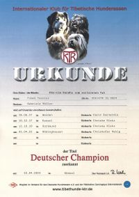 Deutscher Shampion 2022
